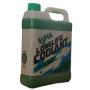 Антифриз-концентрат "Long Life Coolant", 2л Esper (LLCJIS-2GP)