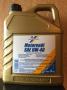 Масло моторное синтетическое "Motoroil 0W-40", 5л Cartechnic (4027289005584)