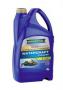 Масло моторное синтетическое "Watercraft 4-Takt", 4л Ravenol (4014835727892)